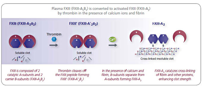 Activation of Plasma